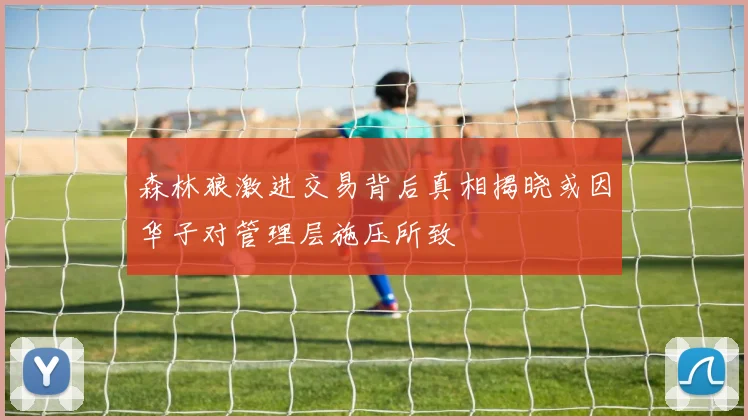 森林狼激进交易背后真相揭晓或因华子对管理层施压所致